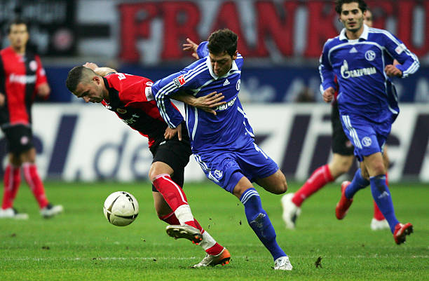 他们不仅为 他们不仅为